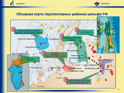 Обзорная карта перспективных районов шельфа РФ