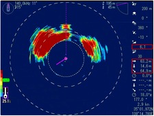 Рис. 1. Полосатая сардинка (140 KHz)