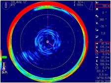 Рис. 2. Кальмары у дна (130,4 KHz)